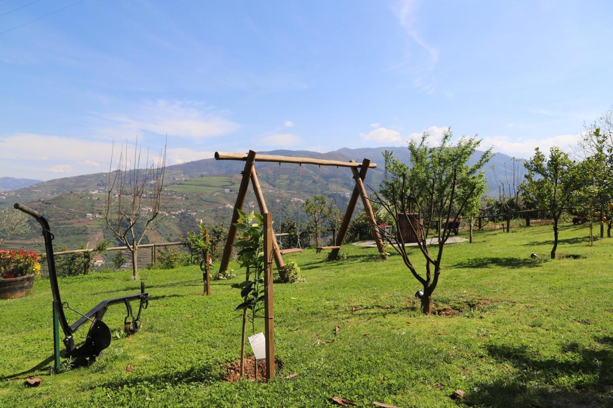 Casa Vale Do Douro Bed & Breakfast Mesão Frio Exterior photo